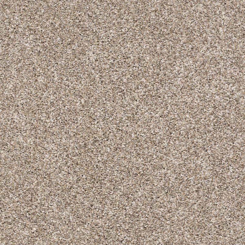 Shaw Carpet-Terrific Neutral Ground Shaw Carpet-Terrific Neutral Ground