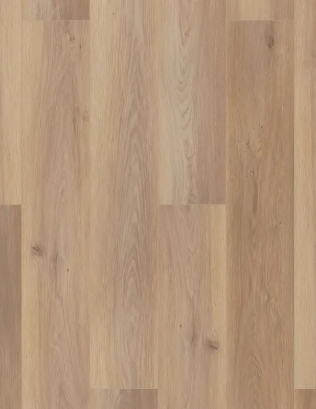 uv988_02101 (1) uv988_02101 (1)