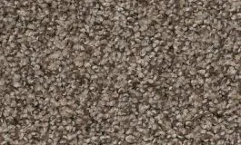 AnsoFiftyPalmDesert AnsoFiftyPalmDesert