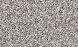 AnsoFiftyPlatinum AnsoFiftyPlatinum