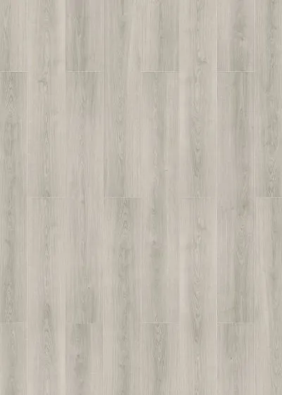 InHausVisions-bunbury InHausVisions-bunbury