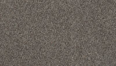 Mohawk Karastan Instinctive Taste Destiny Mohawk Karastan Instinctive Taste Destiny