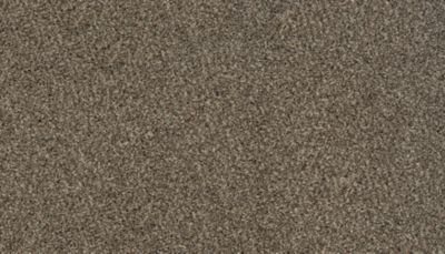 Mohawk Karastan Instinctive Taste Woodland Mohawk Karastan Instinctive Taste Woodland