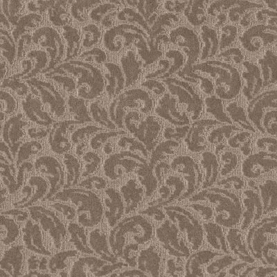 PurrfectHarmony-Mocha-Shaw PurrfectHarmony-Mocha-Shaw