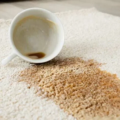 Area-Rug-care-img-1-square